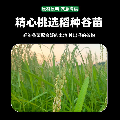 东北圆糯米2025年农家新米5斤珍珠白江米江糯米包粽子五谷杂粮 - 图2