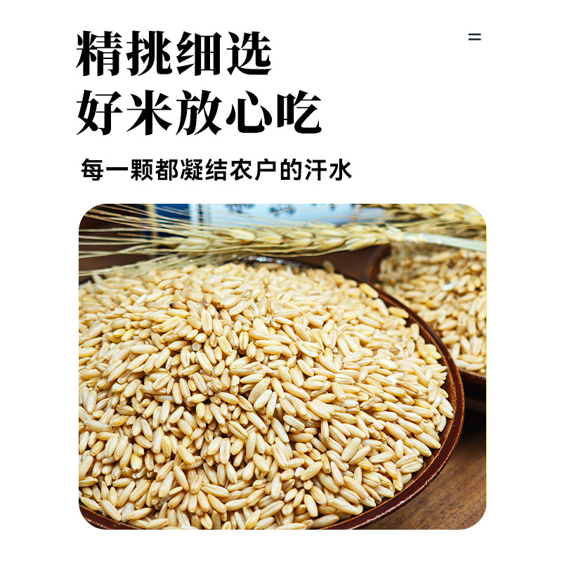真空包装东北燕麦米2025新米裸燕麦胚芽米脱皮燕麦粒杂粮粗全胚芽,淘宝优惠券,粉丝福利购,淘宝优惠卷