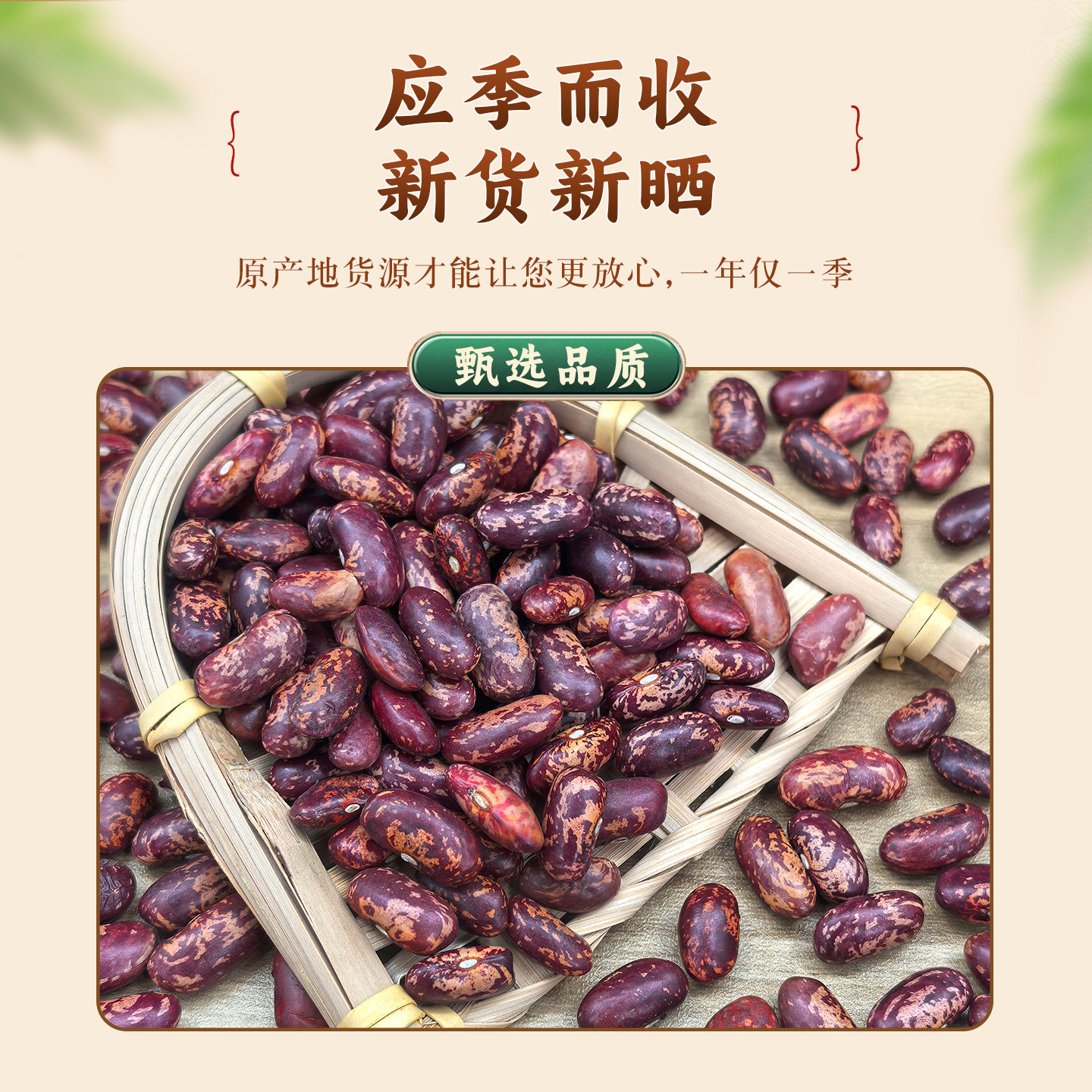 东北花芸豆2025新货大粒农家饭豆特产大碴粥五谷杂粮红芸豆,淘宝优惠券,粉丝福利购,淘宝优惠卷