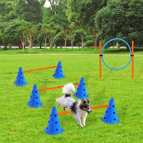 宠物用品狗狗敏捷训练套装跳环跳杆组合障碍训练绕杆训狗器材 - 图0