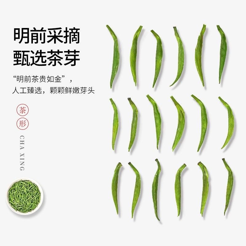 雀舌茶叶2025新茶明前特级绿茶贵州湄潭毛尖春茶叶嫩芽浓香型500g