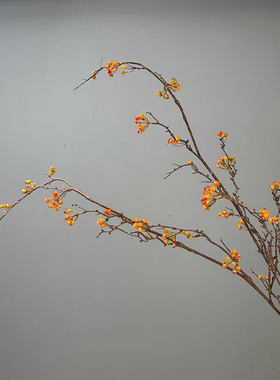 仿真花干花假花南蛇藤禅