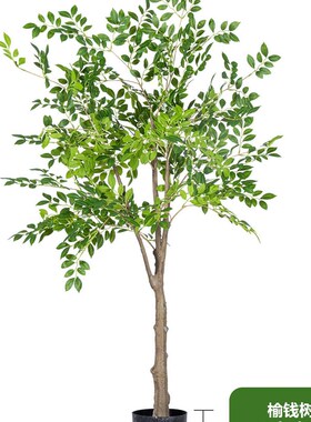 速发超大型榆钱树饰钱榕绿植窗假树室内客厅店铺橱物装金落地摆件