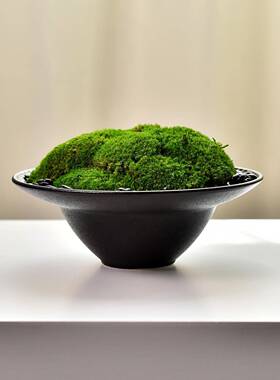 酒店大桌转中盘间景新中式装饰品圆微景盆观圆形包厢餐桌摆饰240