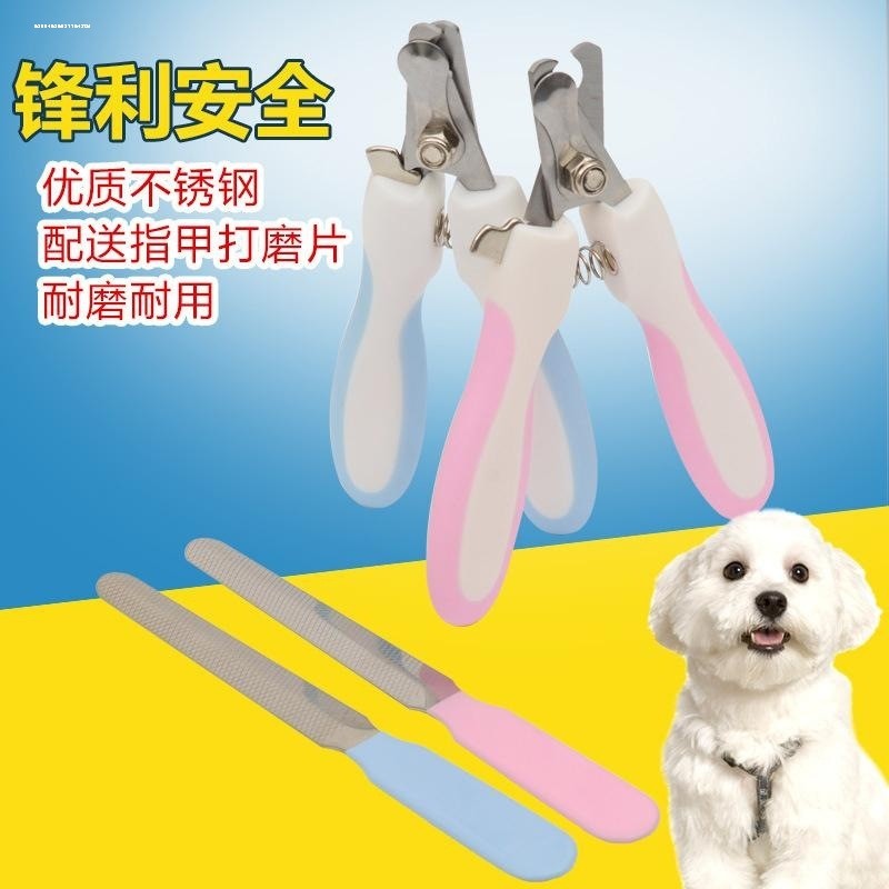宠物兔子专用指甲剪指甲刀指甲钳幼兔小猫咪小型犬防抓挠神器用品,淘宝优惠券,粉丝福利购,淘宝优惠卷