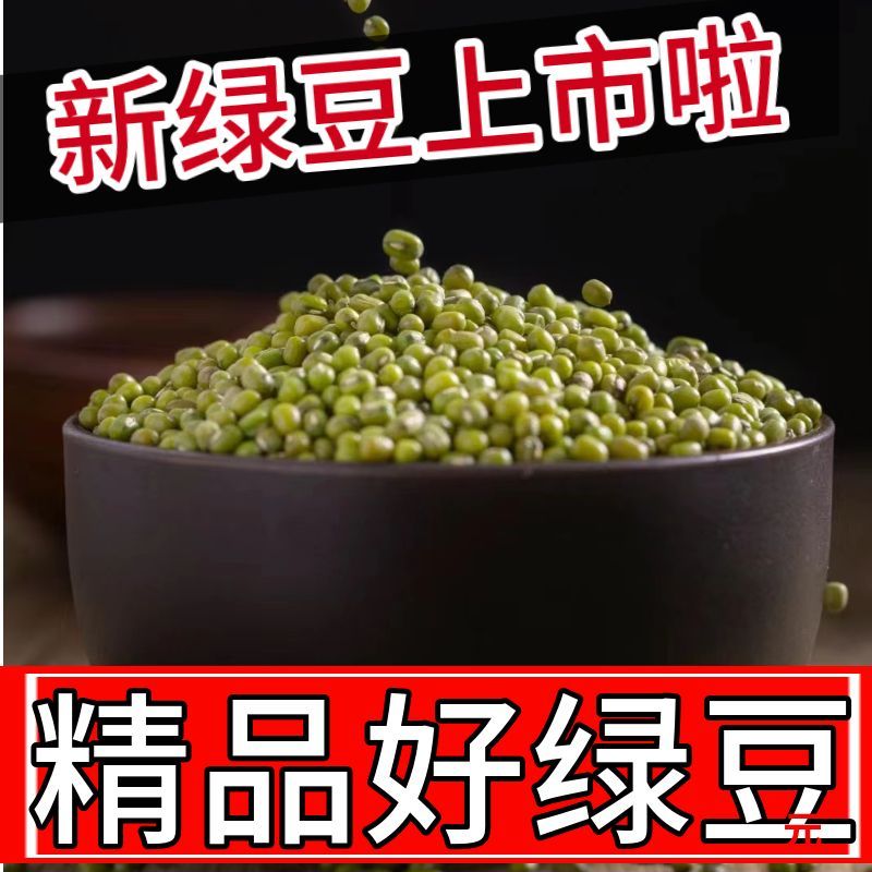 新货绿豆2500g五斤农家自产发豆芽专用绿豆汤煮粥五谷绿豆沙原料 - 图3