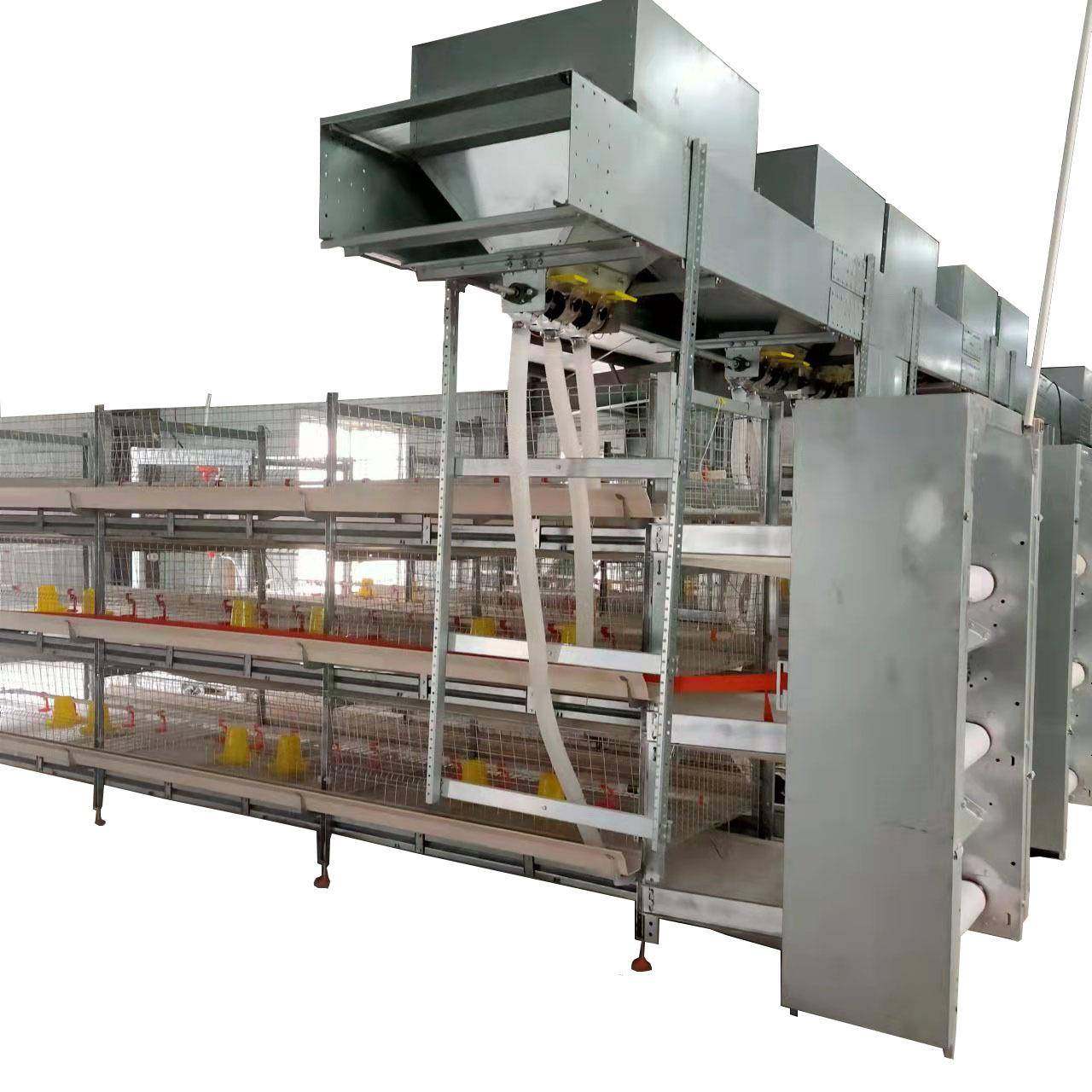 全自动肉鸡笼框架笼鸡舍养鸡场镀锌工艺自动除粪鸡笼可供外贸,淘宝优惠券,粉丝福利购,淘宝优惠卷
