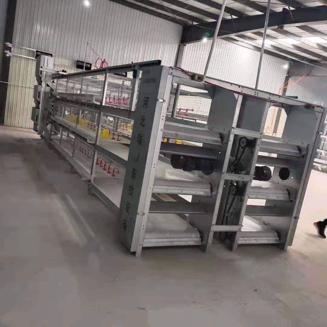 全自动肉鸡笼框架笼鸡舍养鸡场镀锌工艺自动除粪鸡笼可供外贸,淘宝优惠券,粉丝福利购,淘宝优惠卷