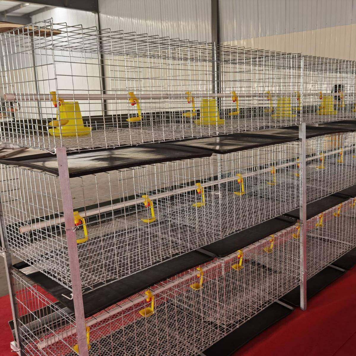 肉鸡笼镀锌防锈自动H型立式雏肉两用鸡笼农用畜牧含托粪盘塑料网,淘宝优惠券,粉丝福利购,淘宝优惠卷