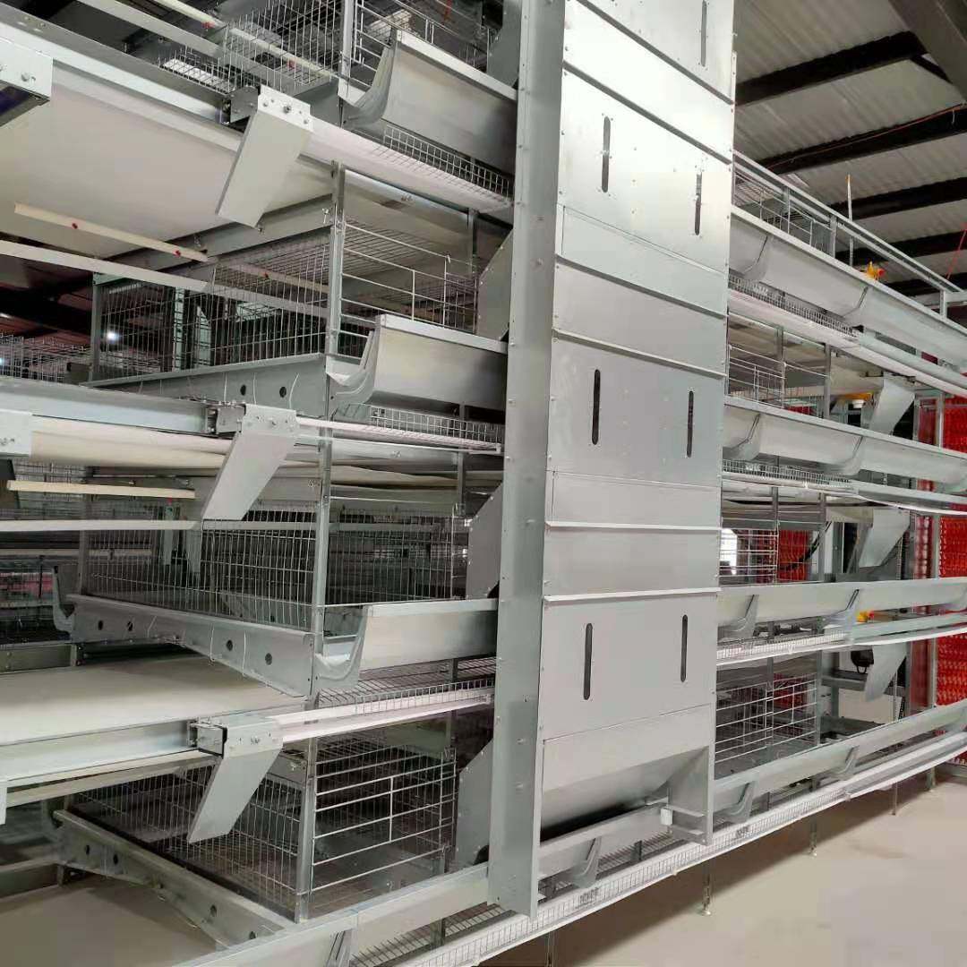 大层叠自动化笼具热镀锌蛋鸡笼加密加粗全自动收集清理鸡粪养殖用,淘宝优惠券,粉丝福利购,淘宝优惠卷