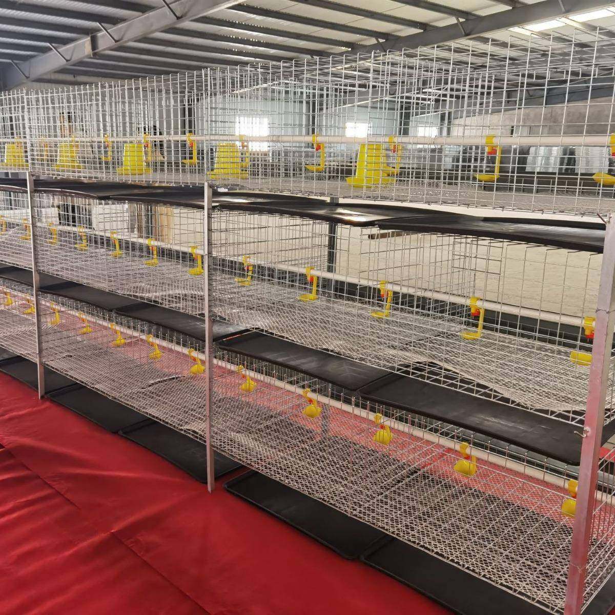 肉鸡笼镀锌防锈自动H型立式雏肉两用鸡笼农用畜牧含托粪盘塑料网,淘宝优惠券,粉丝福利购,淘宝优惠卷