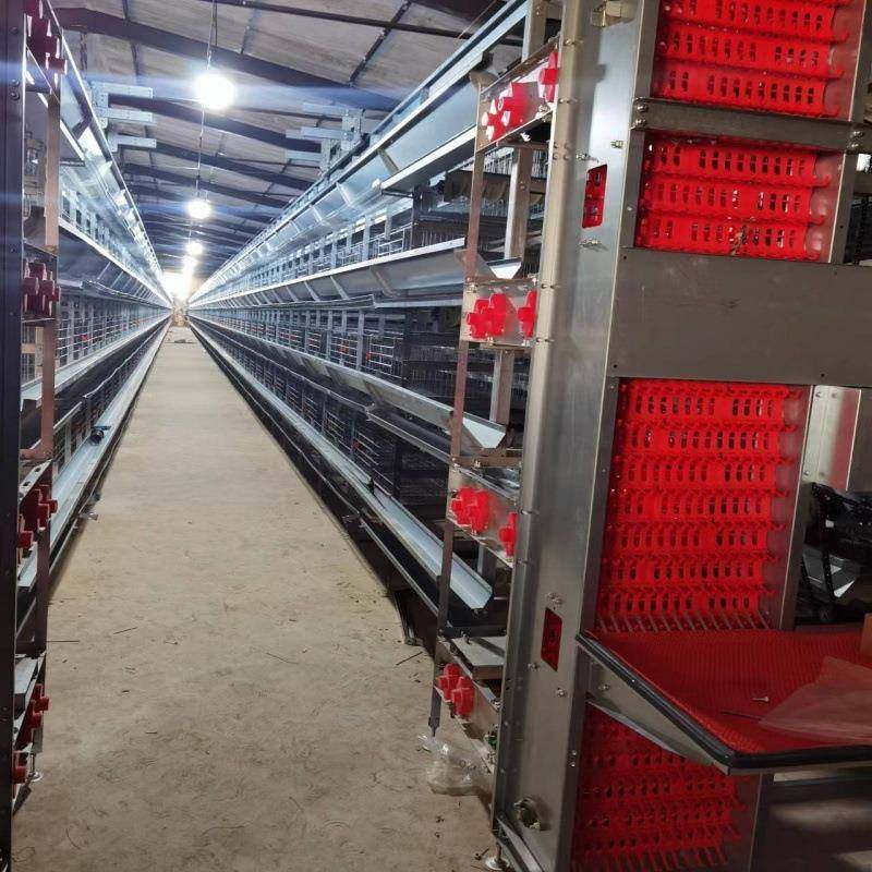 大层叠蛋鸡笼全自动化养殖设备厂家镀锌层叠式蛋鸡笼,淘宝优惠券,粉丝福利购,淘宝优惠卷