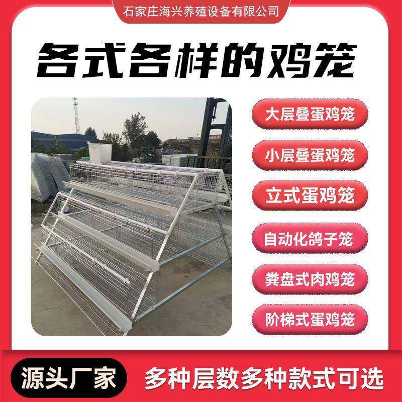 四层蛋鸡笼A型鸡笼热镀锌笼养设备出口鸡笼阶梯式a型层叠笼具,淘宝优惠券,粉丝福利购,淘宝优惠卷