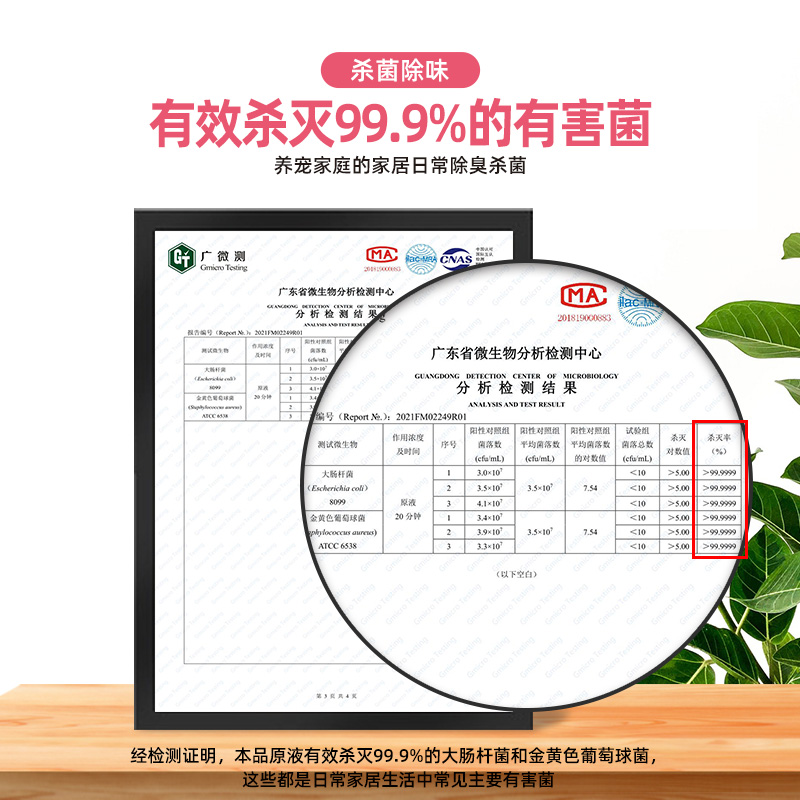 新加坡猫英国短毛猫派锐猫用除臭杀菌喷雾猫咪专用身体去异味宠物