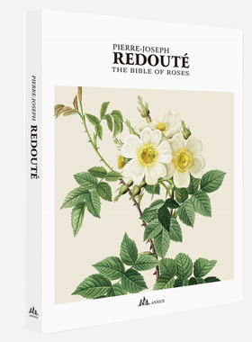 速发样板拍装饰画册艺术真书厅客售楼处展厅摆件间照摄影客厅茶几