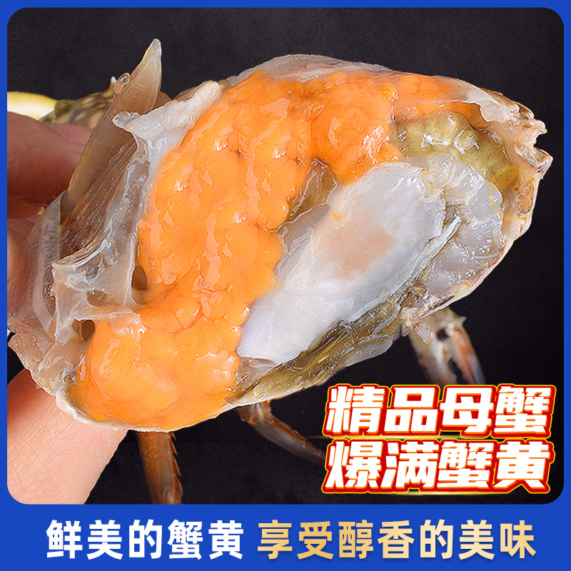 Crab swimming crab fresh quick-frozen orchid crab sea crab flying crab seafood aquatic crab fresh red paste crab female crab