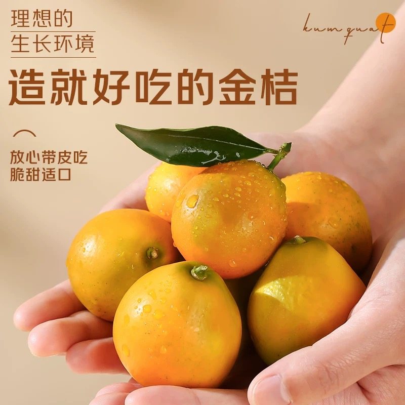 正宗融安金桔滑皮新鲜孕妇水果纯甜整箱脆春节送礼节日礼盒装蜜,淘宝优惠券,粉丝福利购,淘宝优惠卷