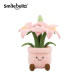 ຊຸດພືດ SmileBella ຂອງຫຼິ້ນ plush
