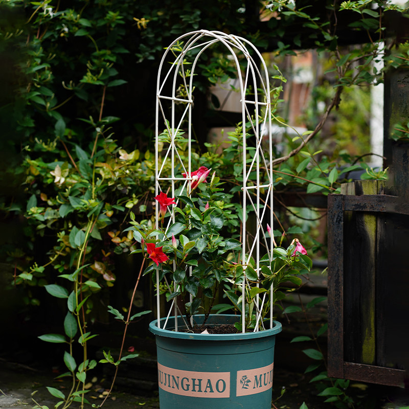 花架爬藤架阳台拱形铁线莲花架子月季户外花盆植T物攀爬支架支撑,淘宝优惠券,粉丝福利购,淘宝优惠卷