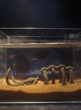 冬官手作 鱼缸水草缸造景水泥装饰摆件大象动物骨头化石骷髅头骨