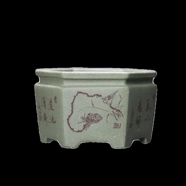Purple sand flower pot carved small pot handmade bonsai pot green mud F slope mud Su Bing famous pot six square calamus pot