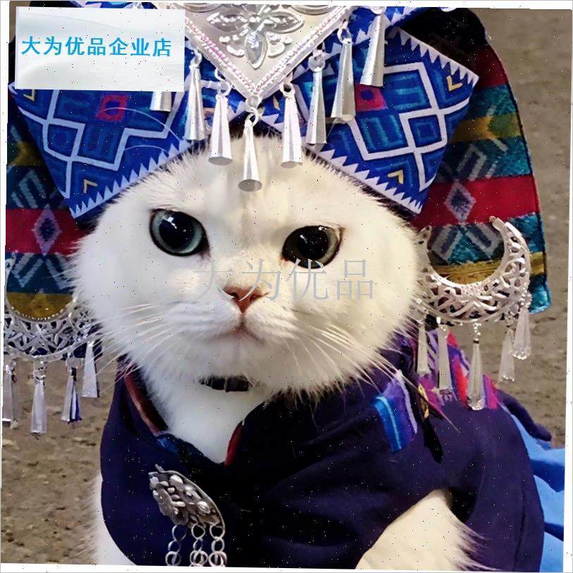 咪帽子壮族d苗族少数民族头饰宠物民族风头套创意变装拍摄道具.,淘宝优惠券,粉丝福利购,淘宝优惠卷
