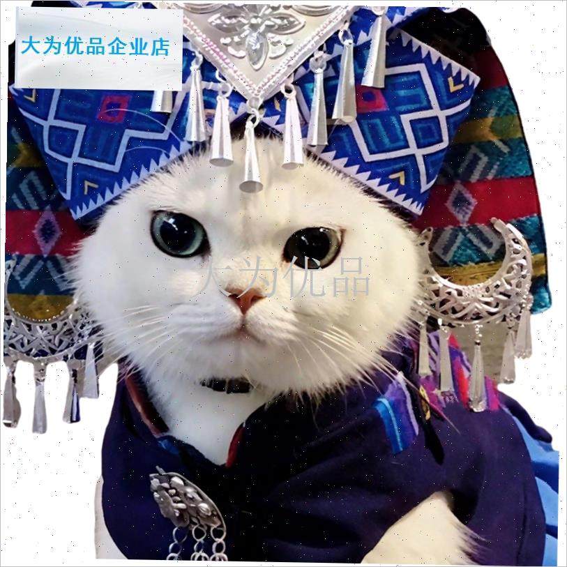 咪帽子壮族d苗族少数民族头饰宠物民族风头套创意变装拍摄道具.,淘宝优惠券,粉丝福利购,淘宝优惠卷