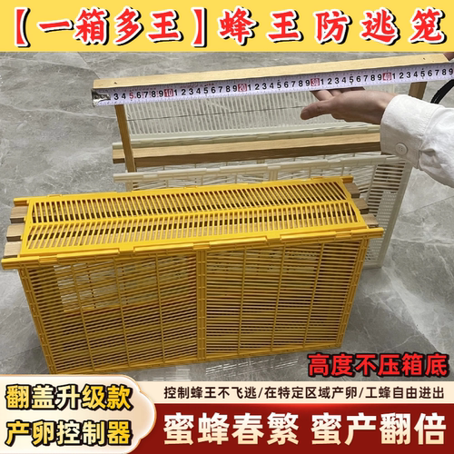 蜜蜂春繁蜂工具隔王板中蜂产卵控制器意蜂囚王笼蜂王防逃器养蜂箱 - 图2