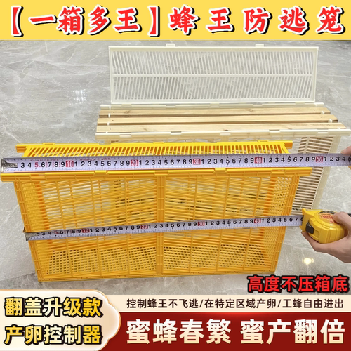 蜜蜂春繁蜂工具隔王板中蜂产卵控制器意蜂囚王笼蜂王防逃器养蜂箱 - 图3