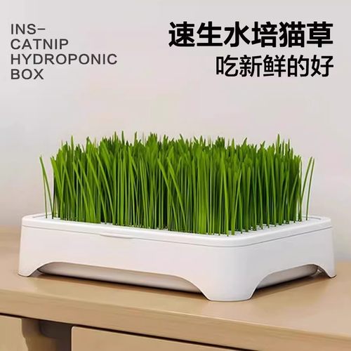 无土水培猫草盆栽种植盒懒人猫草种子育苗盘小麦化毛催吐助消化 - 图0