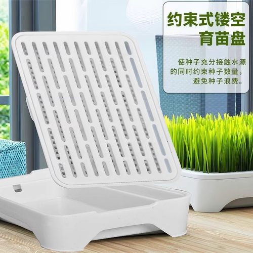 无土水培猫草盆栽种植盒懒人猫草种子育苗盘小麦化毛催吐助消化 - 图1