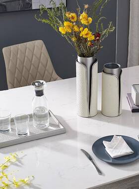 现轻奢TPO皮革托家用客厅几水果盘盘样代板间茶纸巾盒托盘相框套