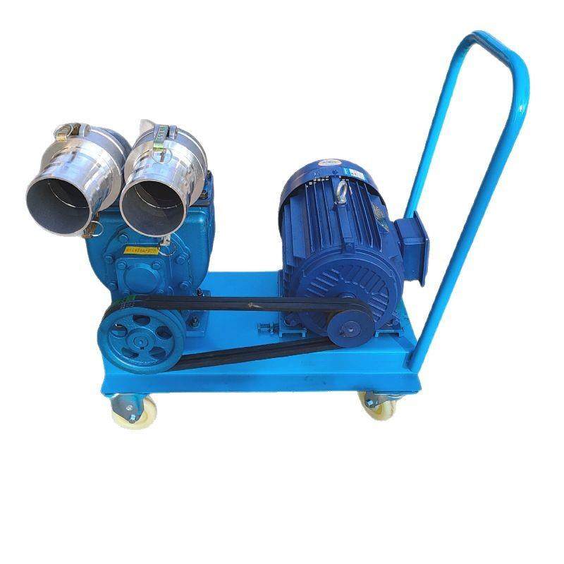 河道下水道小型吸污泵养殖场鸡鸭猪牛抽粪泵手推式电动淤泥清理机,淘宝优惠券,粉丝福利购,淘宝优惠卷