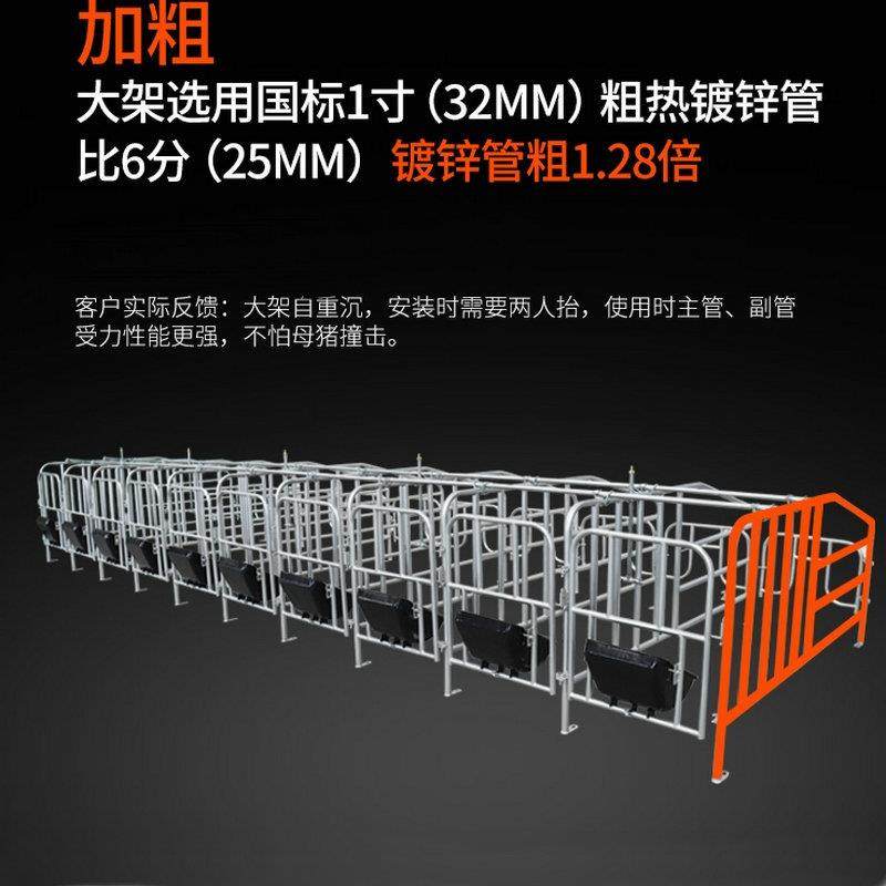 母猪养殖复合定位栏热镀锌产床限位栏养猪畜牧设备机械,淘宝优惠券,粉丝福利购,淘宝优惠卷