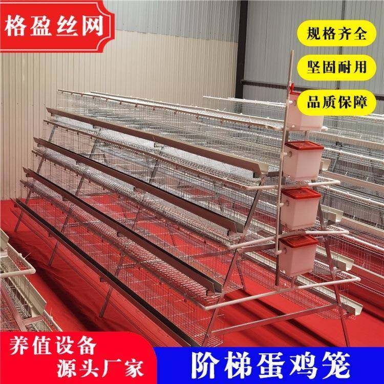 阶梯蛋鸡笼四层养殖厂工厂直供A型蛋鸡笼鸡窝热镀锌可供外贸,淘宝优惠券,粉丝福利购,淘宝优惠卷
