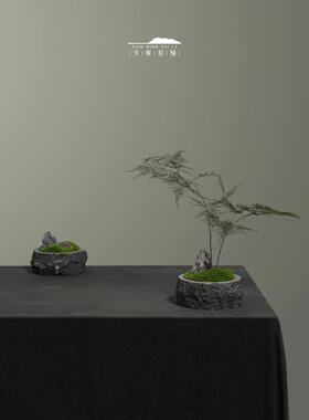 天青苔绿 新中式永生苔藓盆景微景观 样板间茶室茶几软装饰品摆设