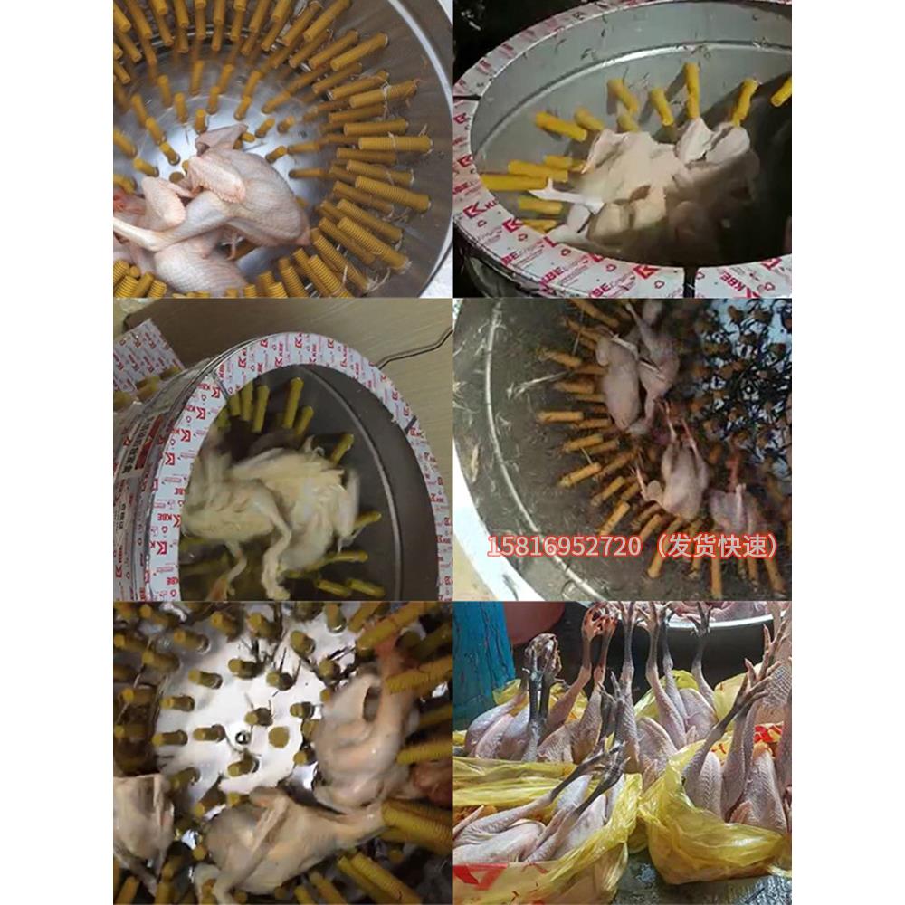 60型65型三鸟脱毛机涡轮型齿轮鸡鸭鹅商用家禽脱毛机除毛杀鸡打毛 - 图2