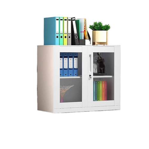 公铁办皮柜带锁档案资料柜LVO文件柜储物柜加厚钢制纳矮收柜推拉 - 图3