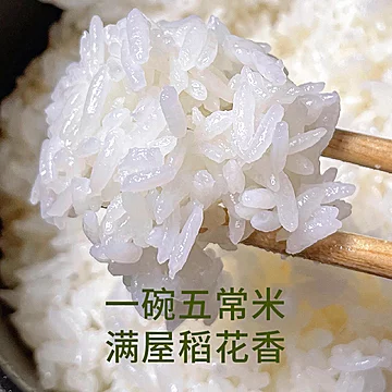 代府大院2025年新米东北黑龙江五常大米10斤[3元优惠券]-寻折猪