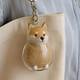 Transparent puppy hair storage box hanging tampon