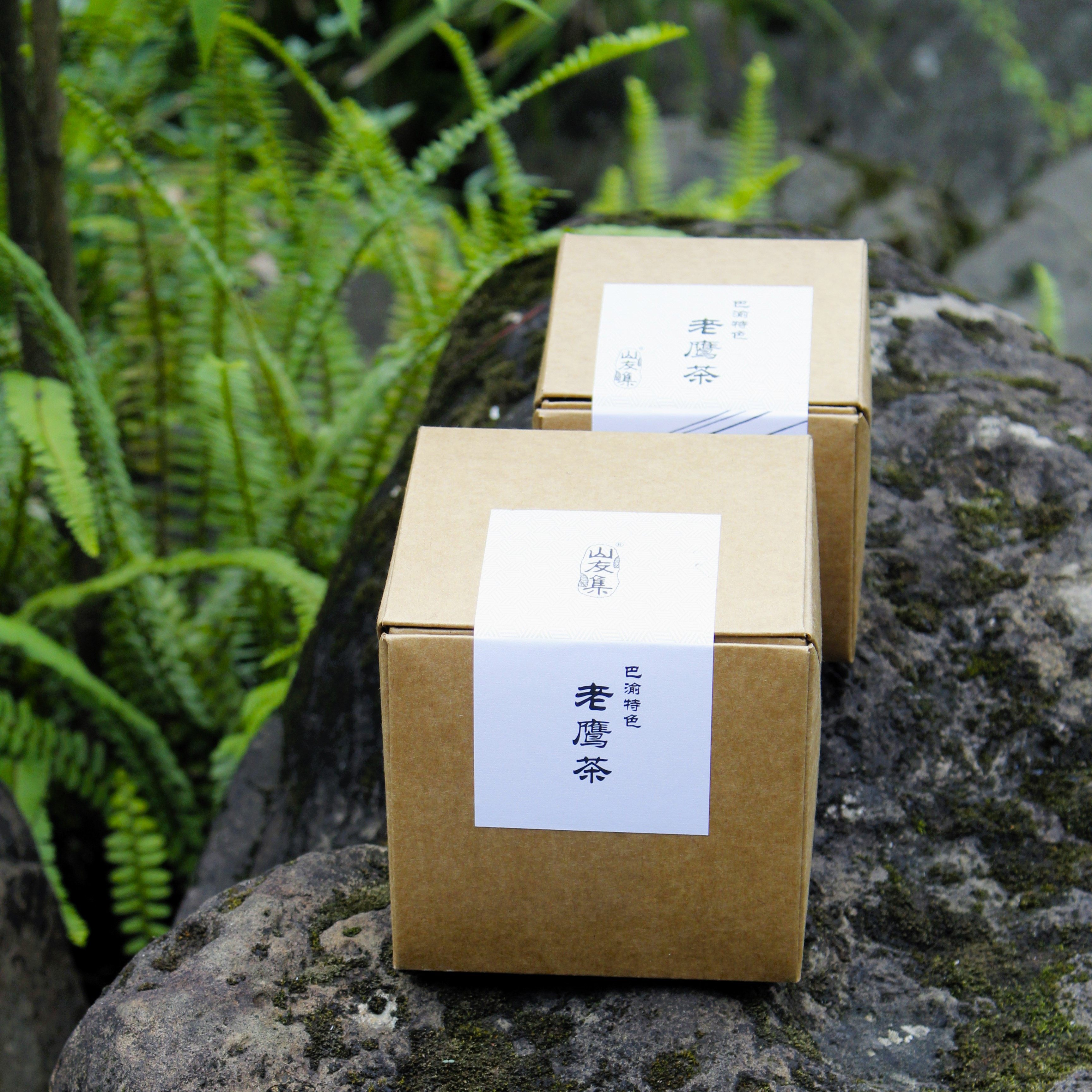 重庆特产老鹰茶精选叶片传统老鹰茶红白茶老荫茶火锅重庆伴手礼,淘宝优惠券,粉丝福利购,淘宝优惠卷