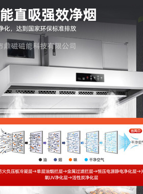 商用大吸力油烟净化一体机学校饭店餐饮厨房商业低空不锈钢油烟机