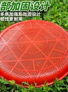塑料粮食筛子圆簸箕晒茶萝卜干晒东西家用米筛细孔养蚕晒菜饺子大