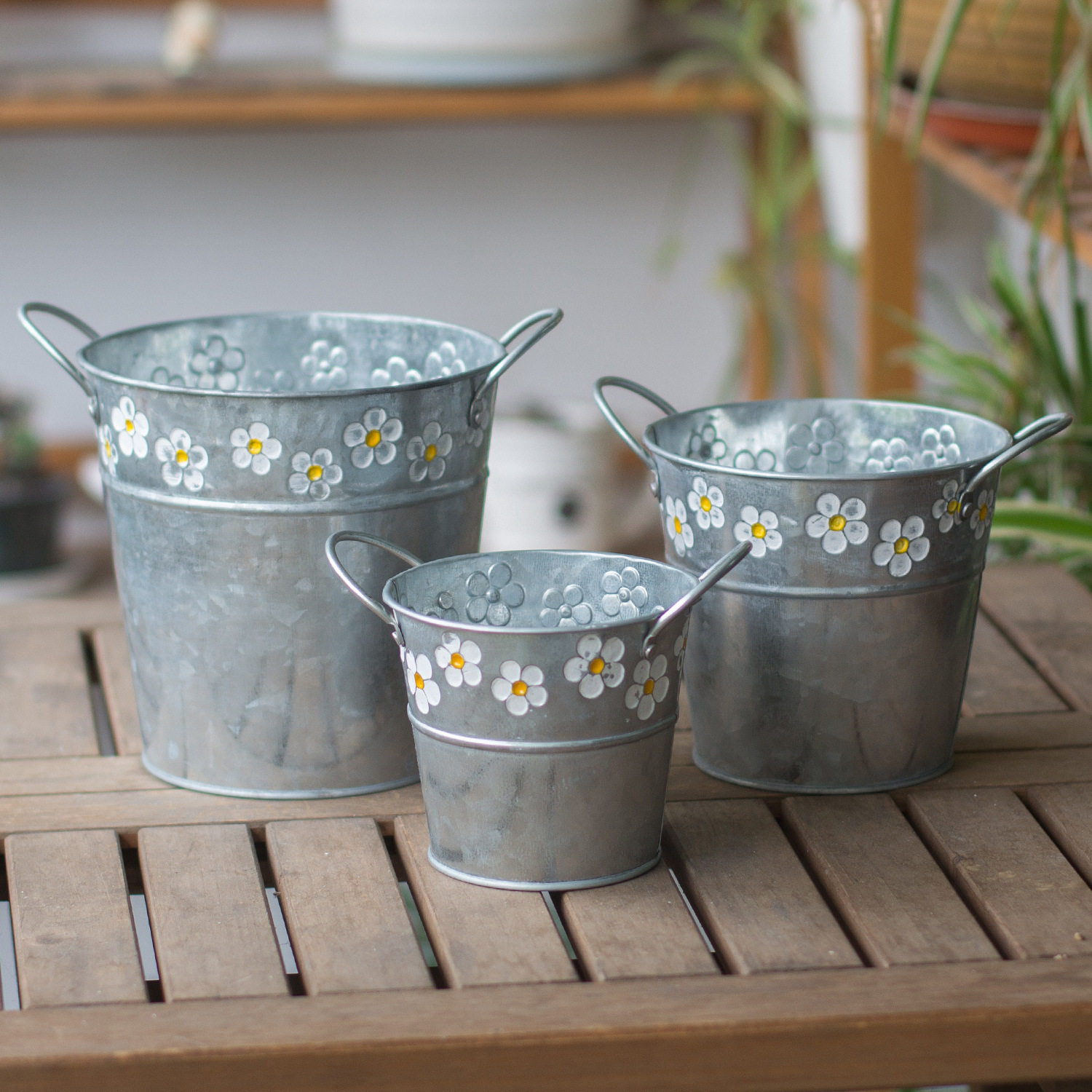 小雏菊花盆套盆铁艺花器不可水培小清新款花园室内装饰桌面小花盆,淘宝优惠券,粉丝福利购,淘宝优惠卷