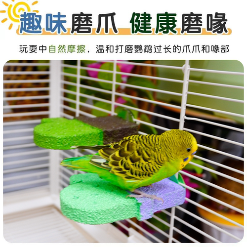 鹦鹉仙人掌磨砂站杆鸟类磨爪磨嘴玩具可水洗矿物质站架鸟笼休息台 - 图2