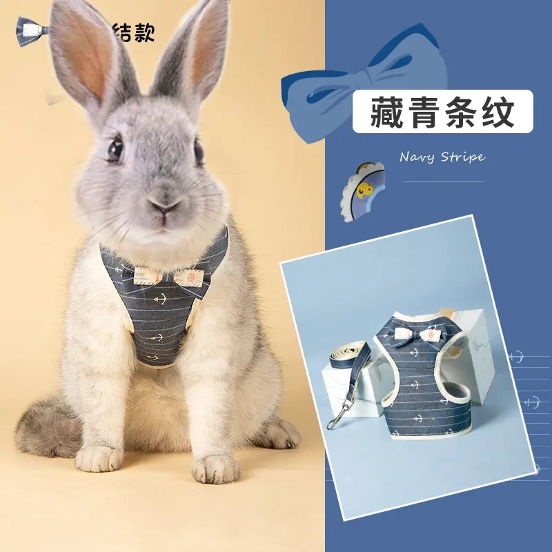 兔子牵引绳防挣脱遛小兔子专用神器背心式可伸缩外出的衣服溜绳子,淘宝优惠券,粉丝福利购,淘宝优惠卷
