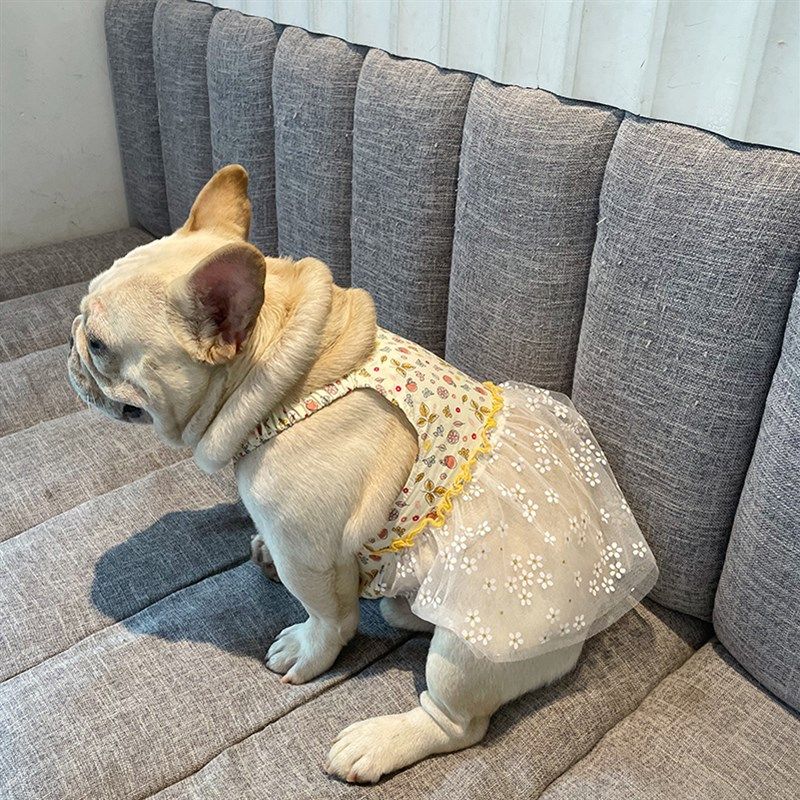 法斗夏季衣服可爱巴哥背心吊带裙子宠物狗狗春夏季薄款衣服裙包邮,淘宝优惠券,粉丝福利购,淘宝优惠卷
