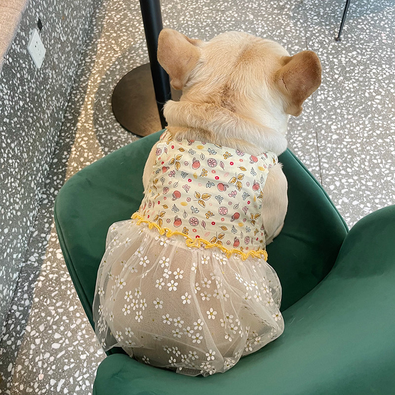 法斗夏季衣服可爱巴哥背心吊带裙子宠物狗狗春夏季薄款衣服裙包邮,淘宝优惠券,粉丝福利购,淘宝优惠卷