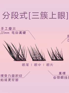 ANYCOCO×狐系假睫毛单簇分段式C翘弧度×两盒装【云泽君同款】