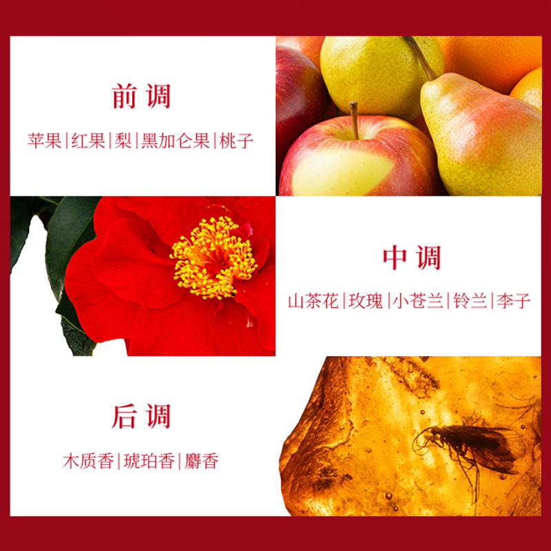 日本进口丝蓓绮沁耀臻致滋润洗护套装 洗发水护发素柔顺滋养清洁